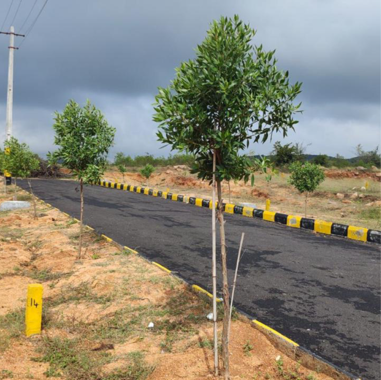 Garden, siri-mahagiri-diamond-city  122 Sq.Yd. Plot In Yacharam Hyderabad 9381074