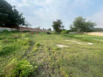  Plot For Rent in Mohanlalganj