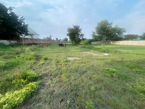 Plot Area in  Plot at Mohanlalganj – for Rent