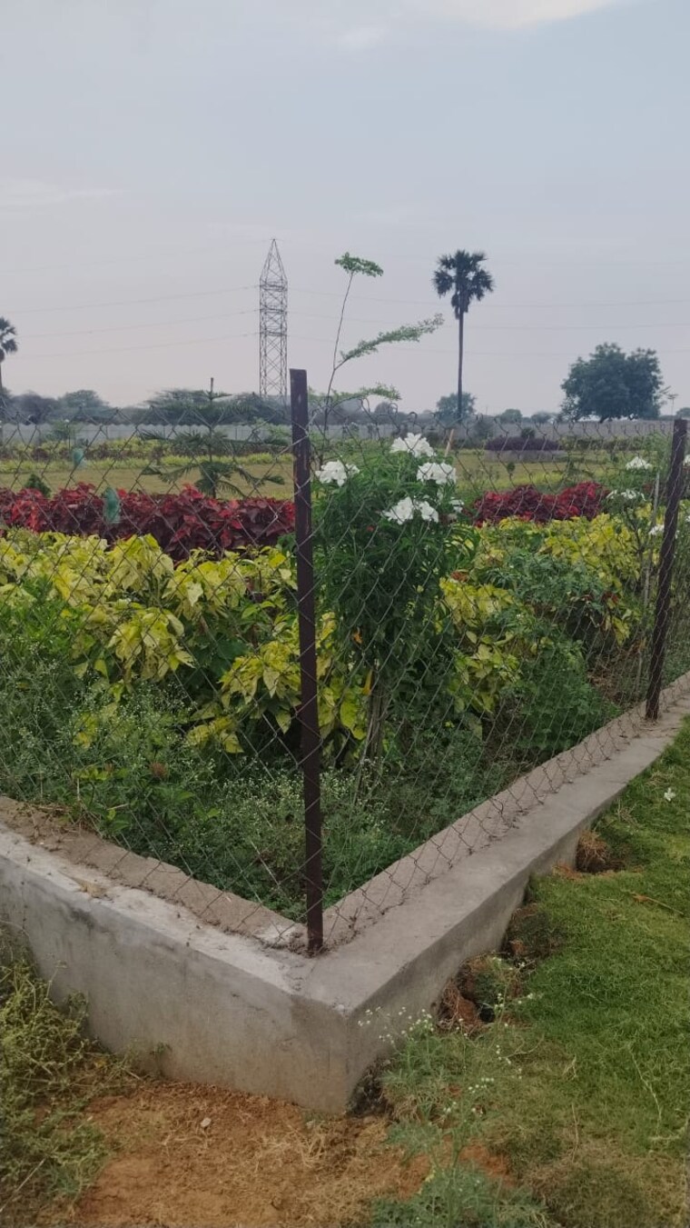 Garden, shadnagar  200 Sq.Yd. Plot In Shadnagar Hyderabad 9381257