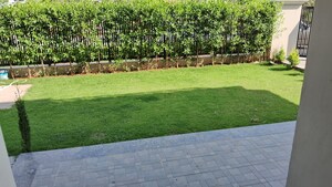 4 BHK Independent House For Rent in Sector 69