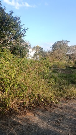 Plot For Sale in BVS Dayals Residency