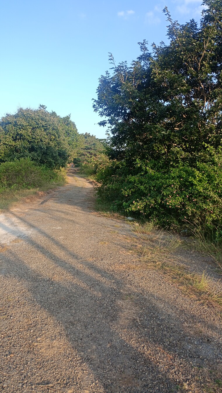 Garden, bvs-dayals-residency  1200 Sq.Ft. Plot In Bannerghatta Road Bangalore 9381491