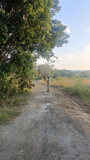 Plot Area in  Plot at BVS Dayals Residency, Bannerghatta Road – for Sale