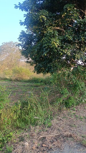 Plot Area in  Plot at BVS Dayals Residency, Bannerghatta Road – for Sale