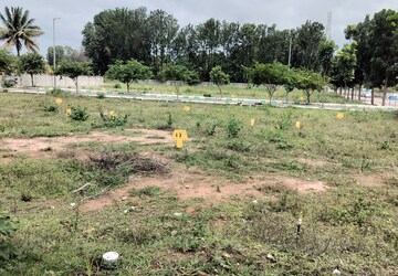 Land For Sale in Devanahalli