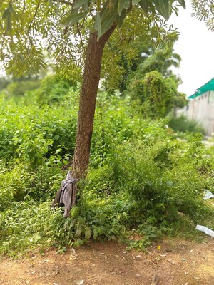  Plot For Sale in Ecil