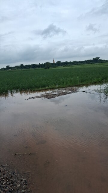  Plot For Sale in Sohna