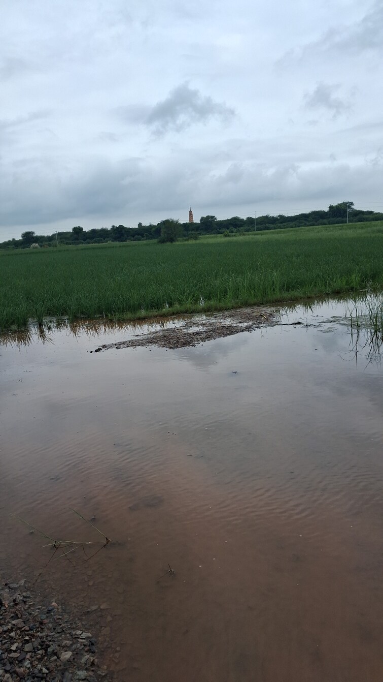 Cover Image, sohna  1500 Sq.Ft. Plot In Sohna Gurgaon 9381730