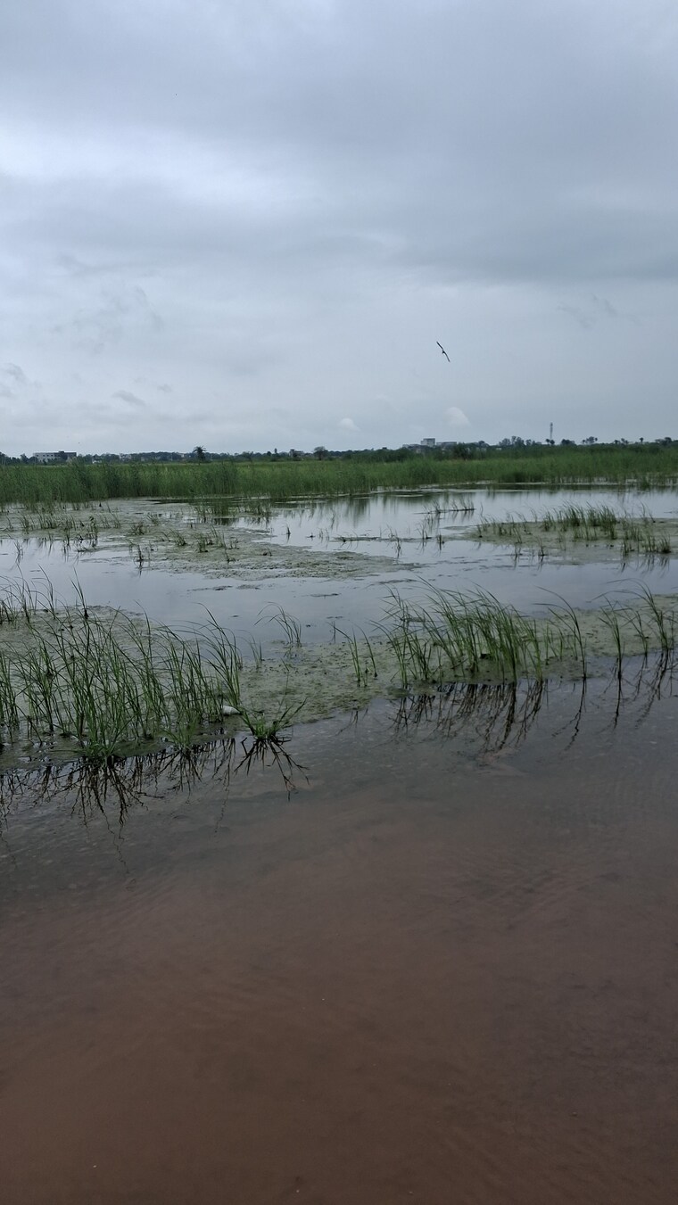 Exterior View, sohna  1500 Sq.Ft. Plot In Sohna Gurgaon 9381730