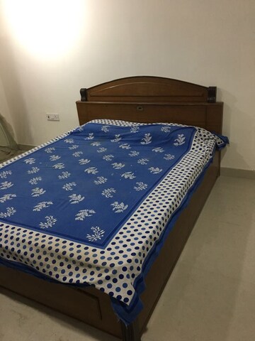 3 BHK Builder Floor For Rent in Malviya Nagar