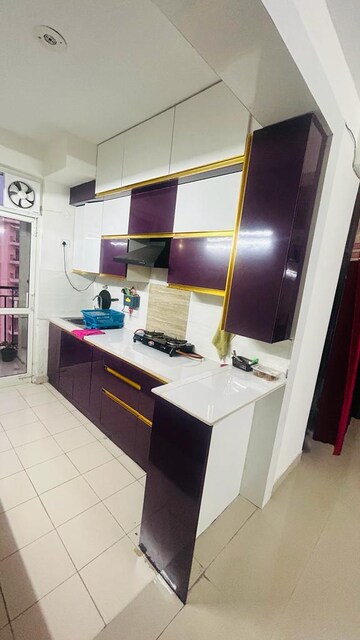 2.5 BHK Apartment For Rent in Orris Carnation Residency, Sector 85