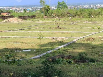 Plot Area in  Plot at Sherpur – for Sale