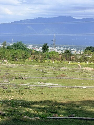 Plot Area in  Plot at Shimla Bypass Road – for Sale