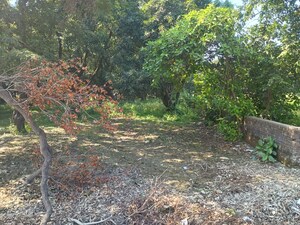  Land For Rent in Kursi Road