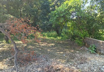 Land For Rent in Kursi Road