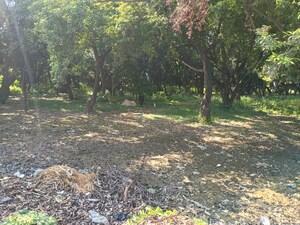 Floor Plan in  Land at Kursi Road – for Rent