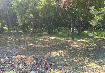 Floor Plan in  Land at Kursi Road – for Rent