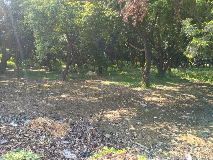 Floor Plan, kursi road Commercial Land 40000 Sq.Ft. In Kursi Road Lucknow 9382484