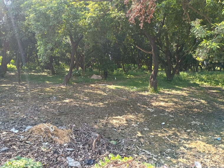 Floor Plan, kursi road Commercial Land 40000 Sq.Ft. In Kursi Road Lucknow 9382484