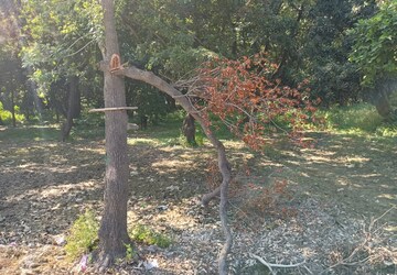 Land – Garden View at Kursi Road - for Rent