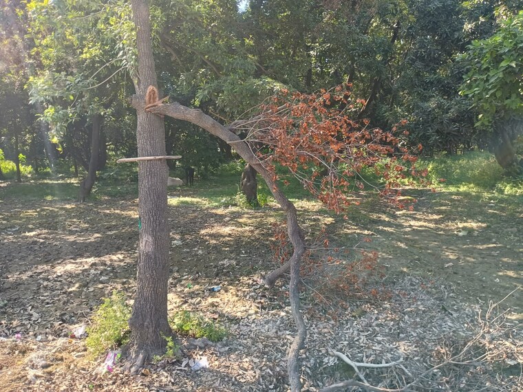 Garden, kursi road Commercial Land 40000 Sq.Ft. In Kursi Road Lucknow 9382484