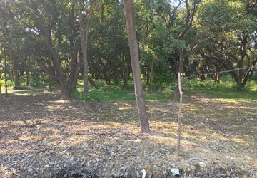 Floor Plan in  Land at Kursi Road – for Rent