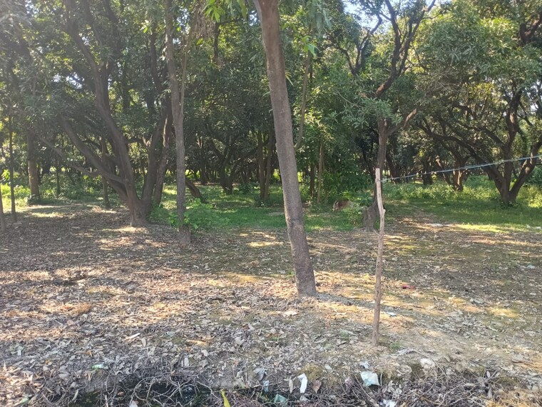 Floor Plan, kursi road Commercial Land 40000 Sq.Ft. In Kursi Road Lucknow 9382484