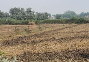Plot Area in  Land at Sitapur Road – for Rent