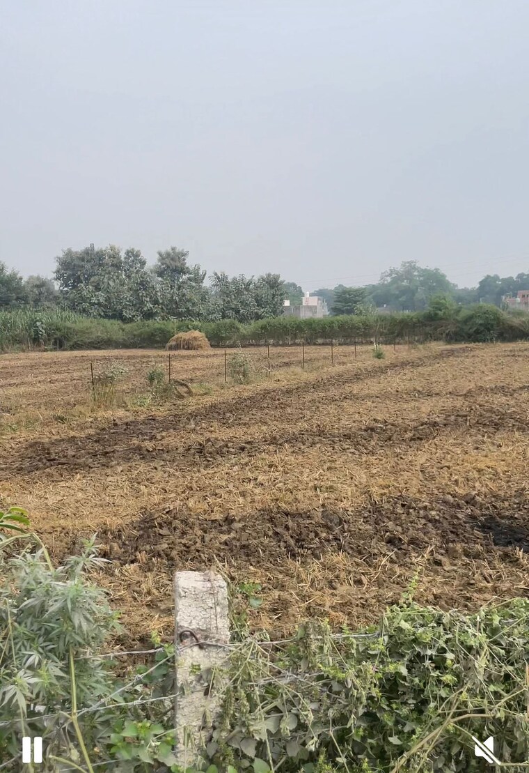 undefined, sitapur road Commercial Land 71000 Sq.Ft. In Sitapur Road Lucknow 9382497