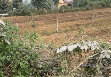 Plot Area in  Land at Sitapur Road – for Rent