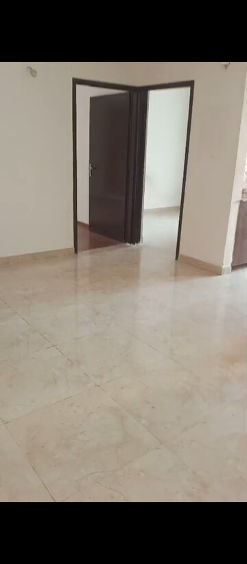 2 BHK Apartment For Rent in Amrapali Leisure Park, Amrapali Leisure Valley