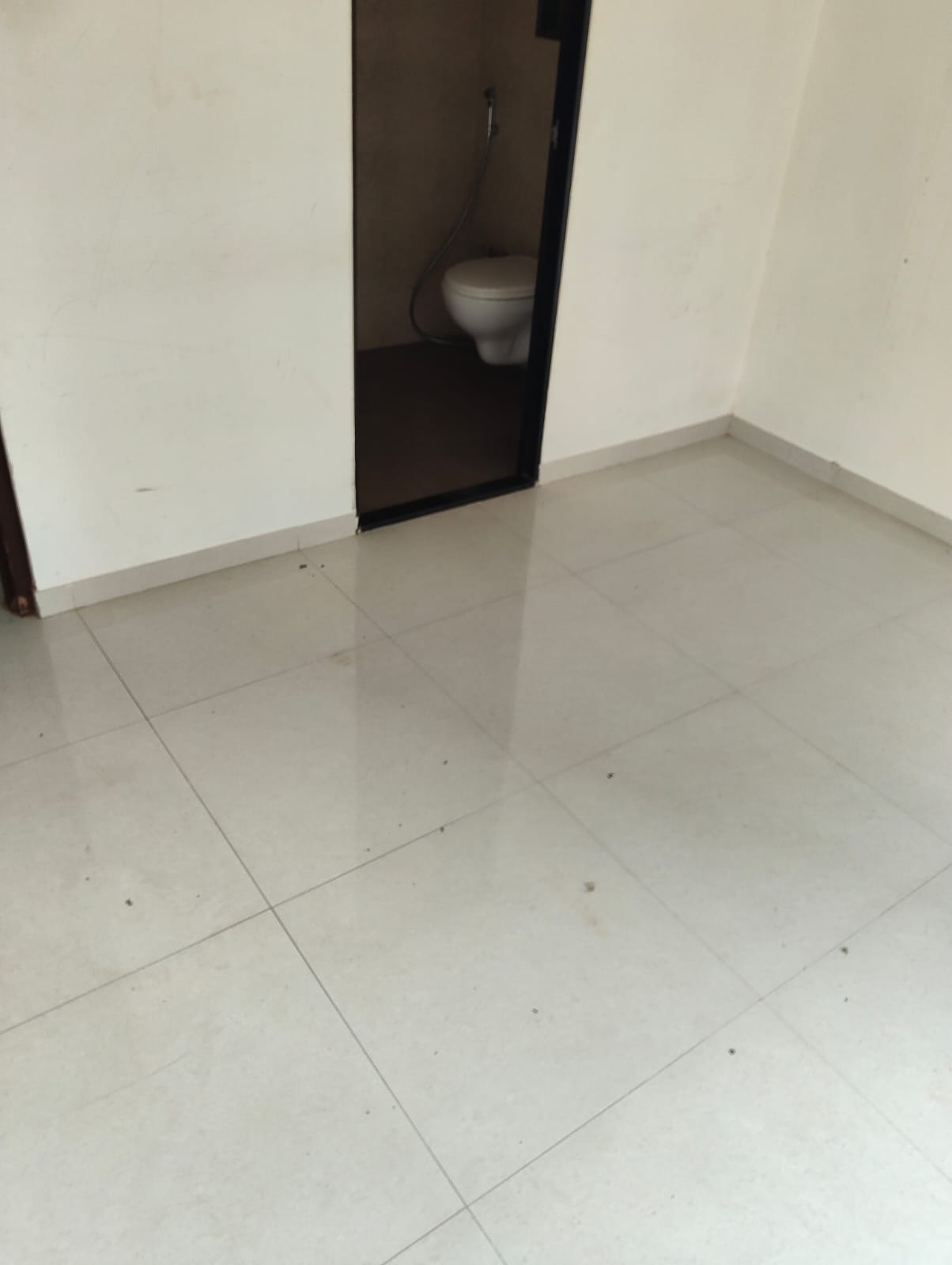 1 BHK Apartment For Sale in Chandak Next