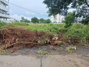  Plot For Sale in Syamala Nagar