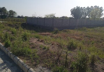 Plot For Sale in Sector 110