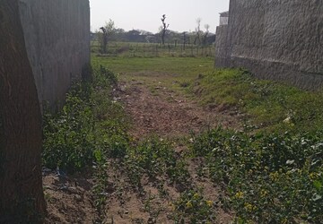 Plot Area in  Plot at Sector 110 – for Sale