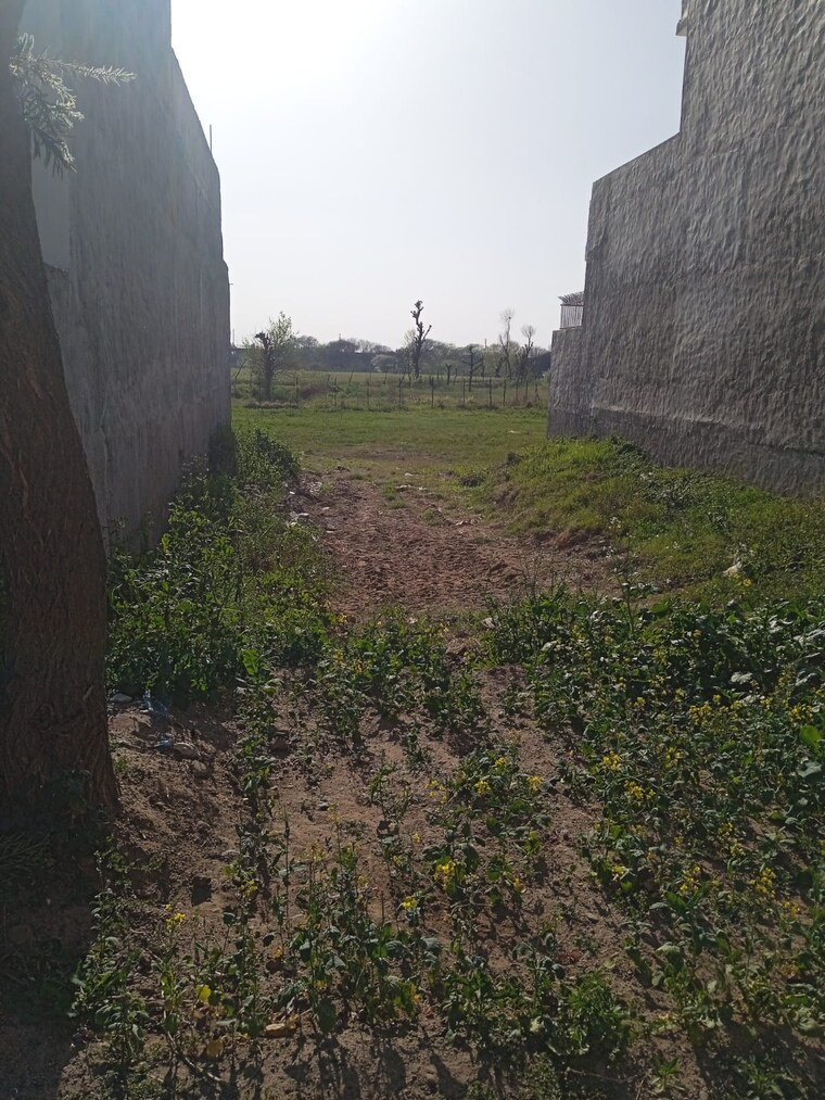 undefined, sector 110  250 Sq.Yd. Plot In Sector 110 Mohali 9382794