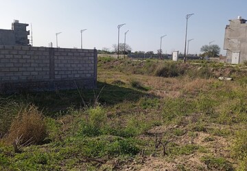 Plot Area in  Plot at Sector 110 – for Sale