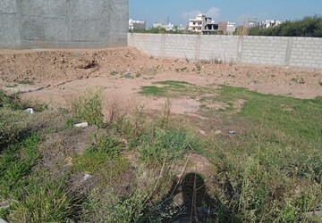 Plot Area in  Plot at Sector 110 – for Sale
