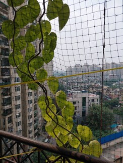 3 BHK + Pooja Room Apartment For Sale in Aditya Mega City