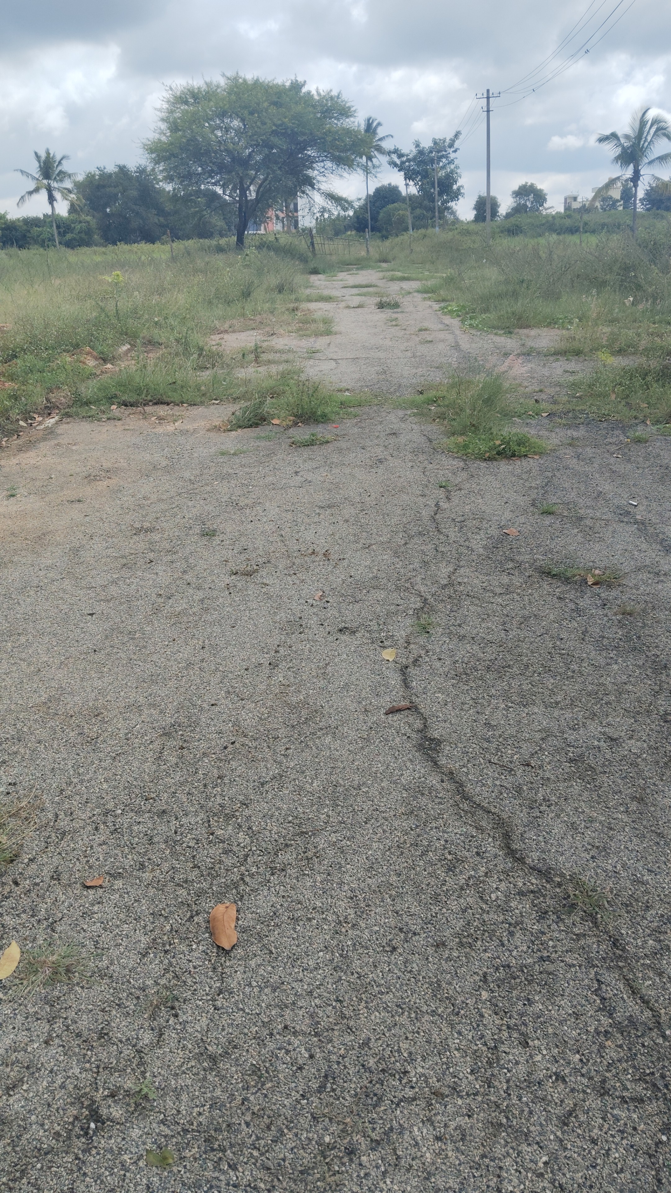 Plot For Sale in Chandapura Jr Coconest 