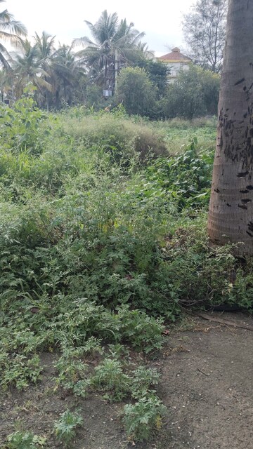 Plot Area in  Plot at Chandapura – for Sale