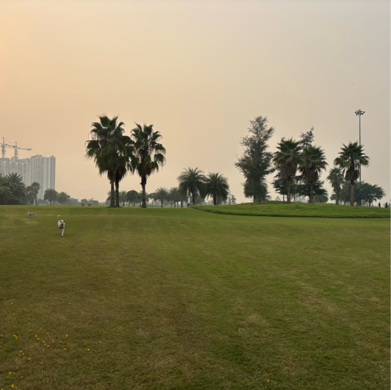 Garden, supertech-golf-country-suites 2 Bedroom 1000 Sq.Ft. Apartment In Supertech Golf Country Greater Noida 9383150