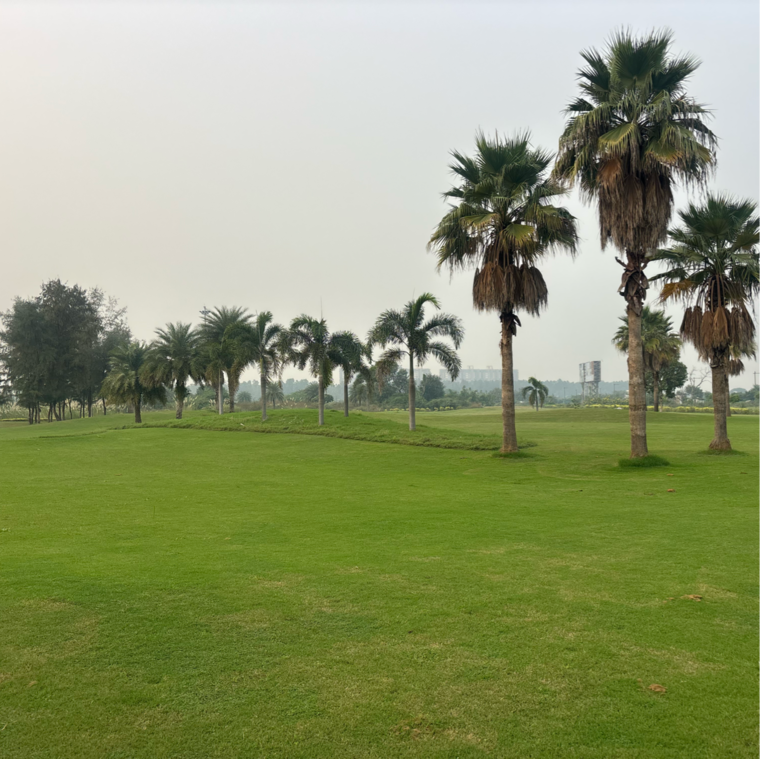 Garden, supertech-golf-country-suites 2 Bedroom 1000 Sq.Ft. Apartment In Supertech Golf Country Greater Noida 9383150