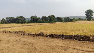  Plot For Sale in Barela