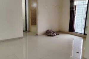 Room in 3 BHK Builder Floor at Chattarpur – for Sale