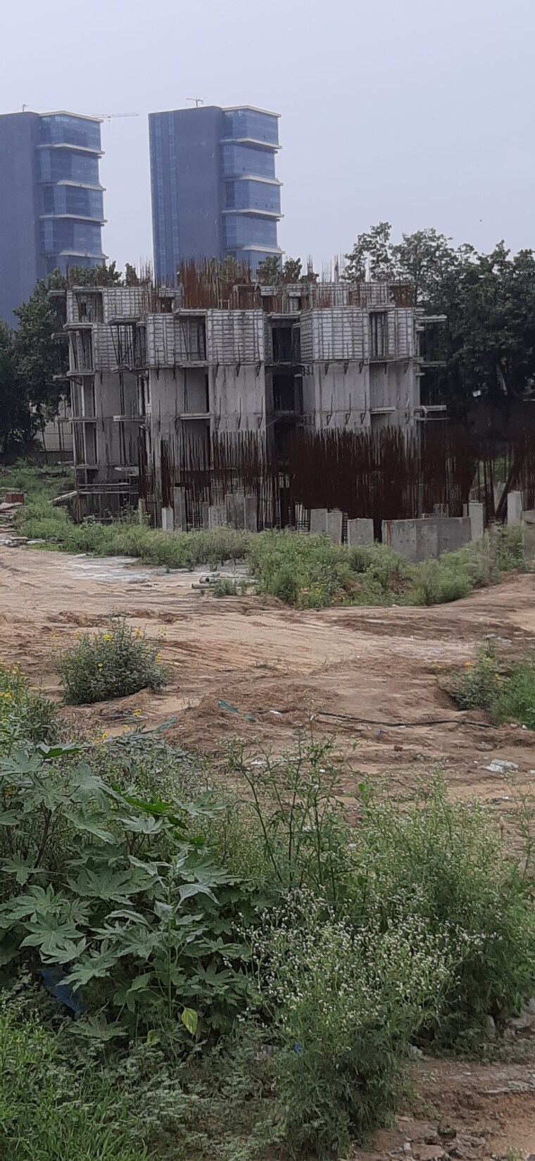 Exterior View, royal-green-heights 3 Bedroom 710 Sq.Ft. Apartment In Sector 62 Gurgaon 9383583