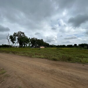  Plot For Sale in Jalalpur
