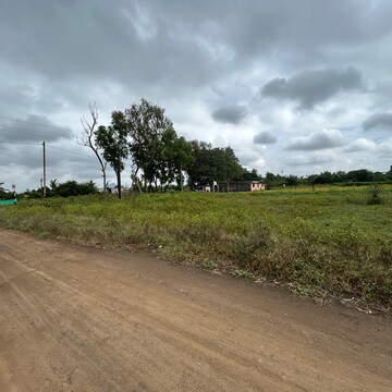 Plot Area in  Plot at Jalalpur – for Sale