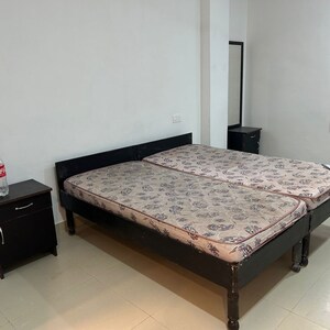 1 BHK Builder Floor For Rent in Malviya Nagar